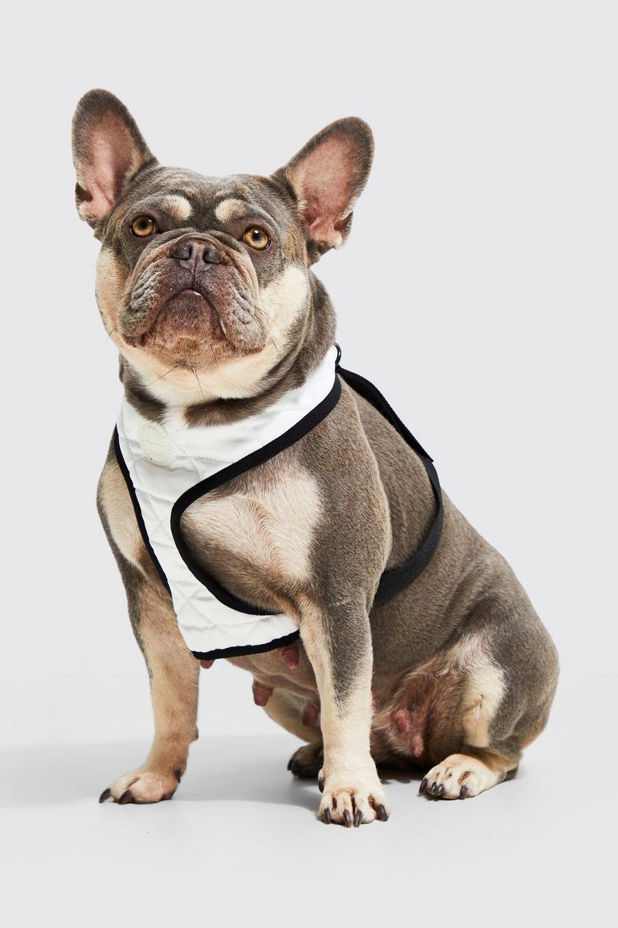 Ecru white BoohooMAN Satin Nylon Quilted Dog Harness