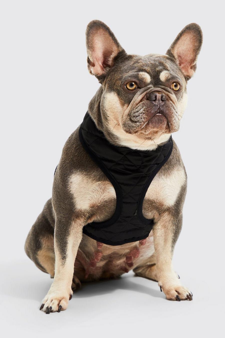 Black BoohooMAN Satin Nylon Quilted Dog Harness image number 1