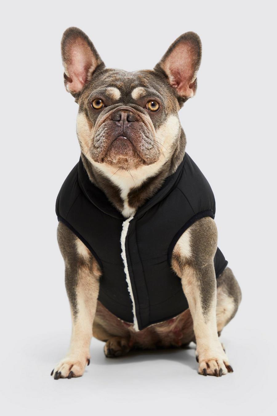 Black_ecru BoohooMAN Reversible Borg Dog Coat image number 1