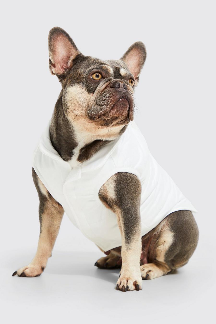 Ecru BoohooMAN Satin Nylon Quilted Dog Coat image number 1