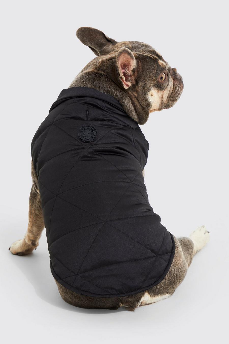 Black BoohooMAN Satin Nylon Quilted Dog Coat image number 1