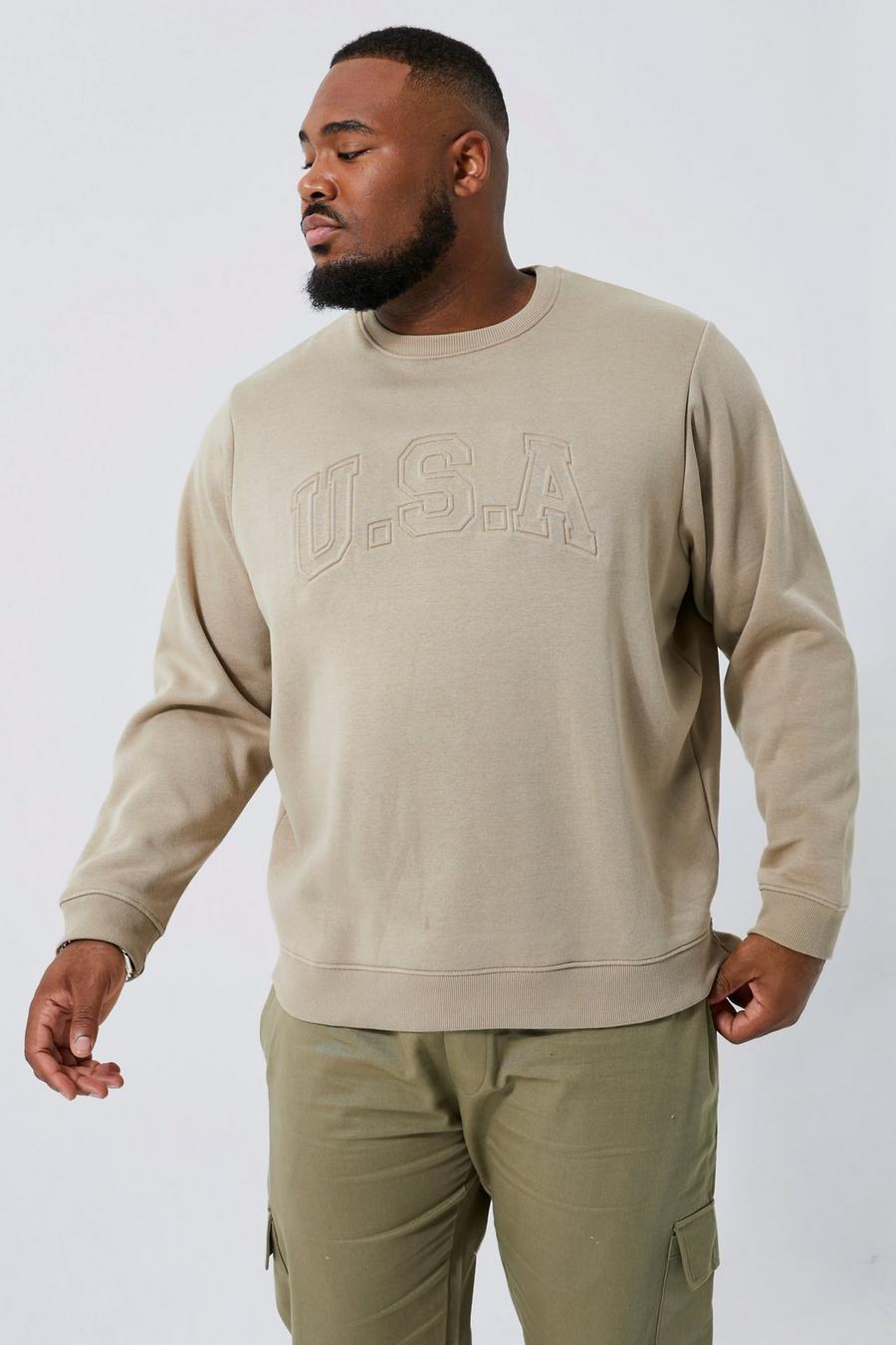 Stone beige Plus USA Varsity Debossed Sweatshirt