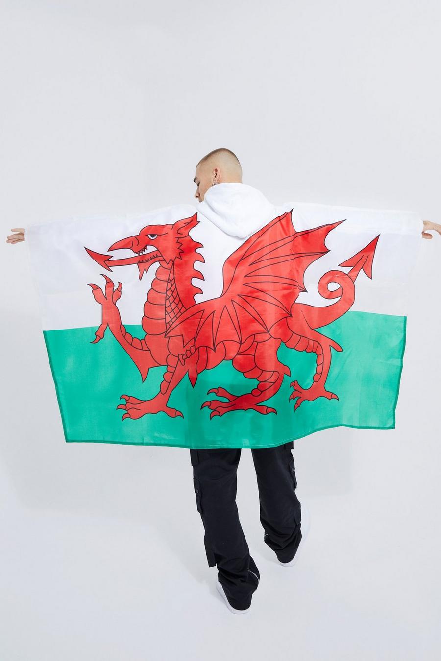Red Wales 90cm X 150cm Flag