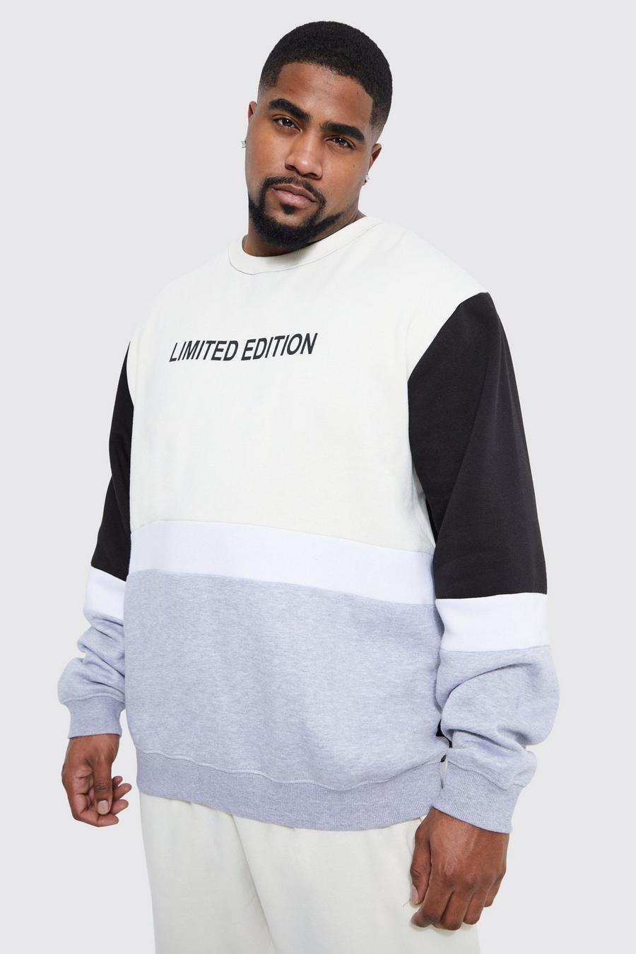 Black Plus Lightweight Regular Fit Colour Block Sweatshirt