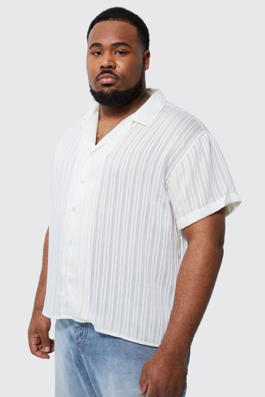 Ecru Plus Short Sleeve Boxy Stripe Texture Shirt image number 1