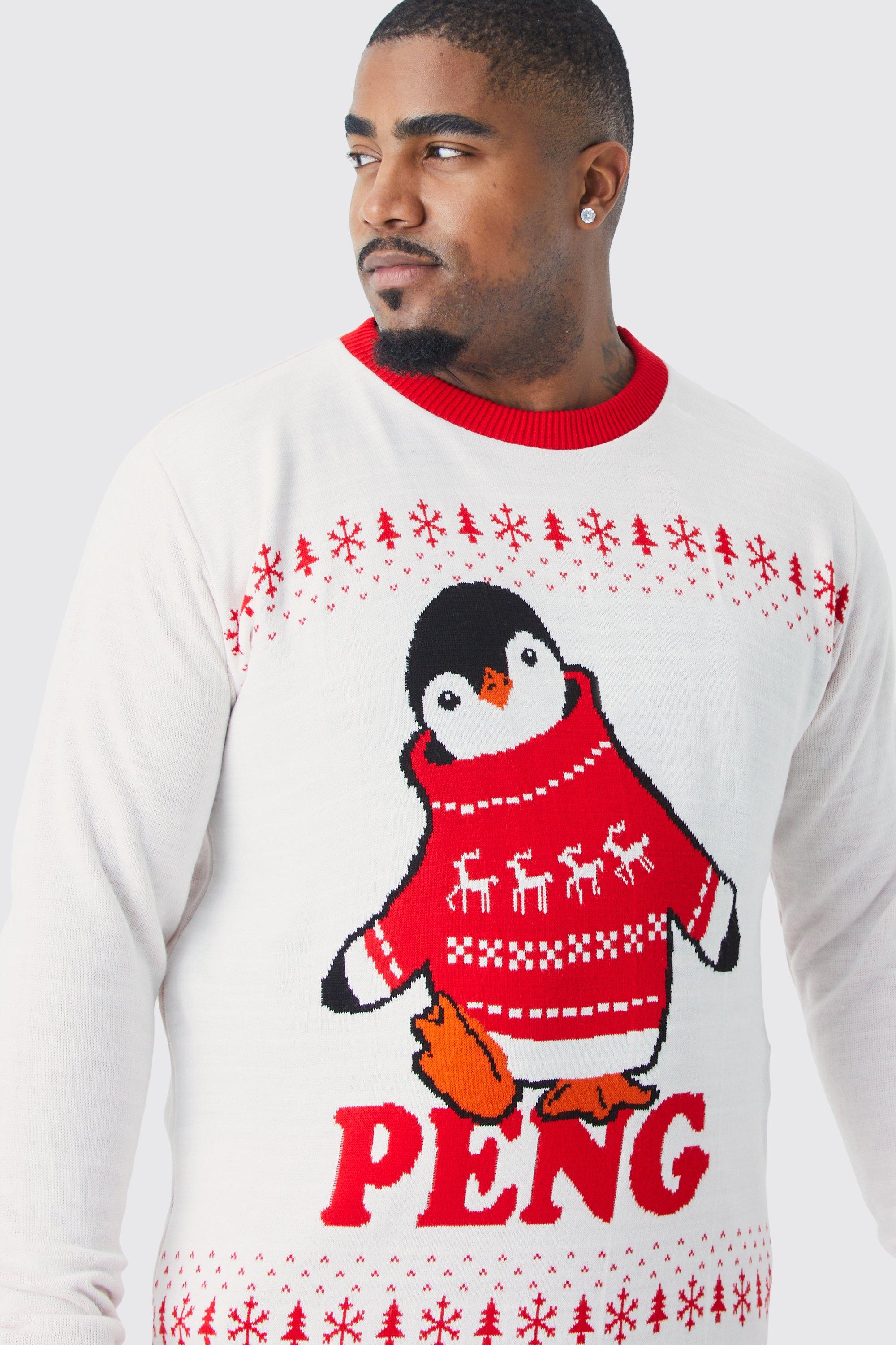 Pull discount noel pingouin