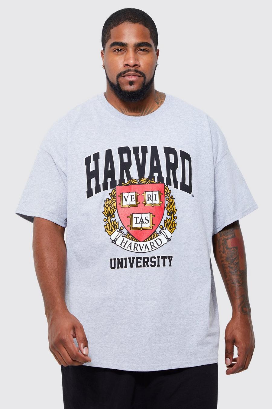 Grey marl Plus Harvard License T-shirt image number 1