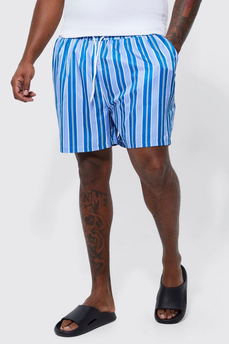 Plus Short Length Stripe Swim Shorts, Blue azul