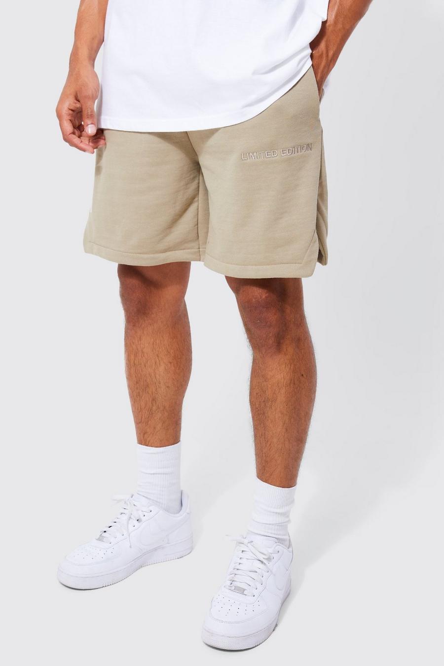 Taupe Dikke Baggy Limited Volley Shorts image number 1