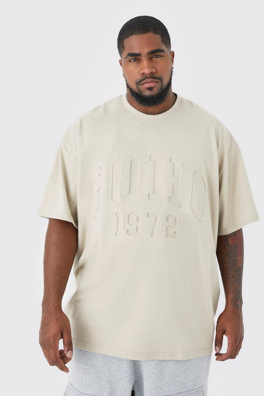 Camiseta Plus oversize con estampado universitario Soho, Stone