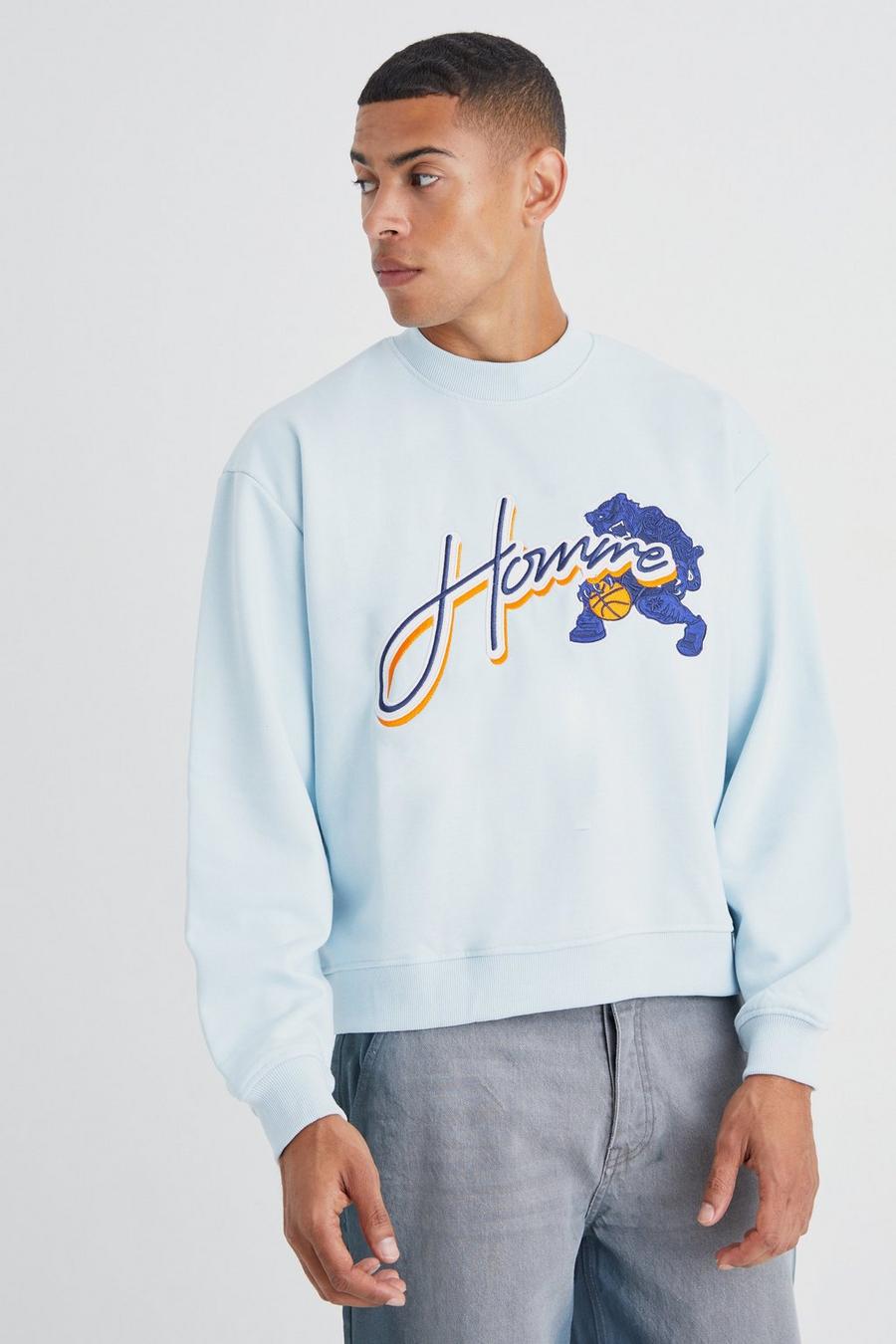 Cloud blue Homme Sweatshirt i boxig modell med applikation image number 1