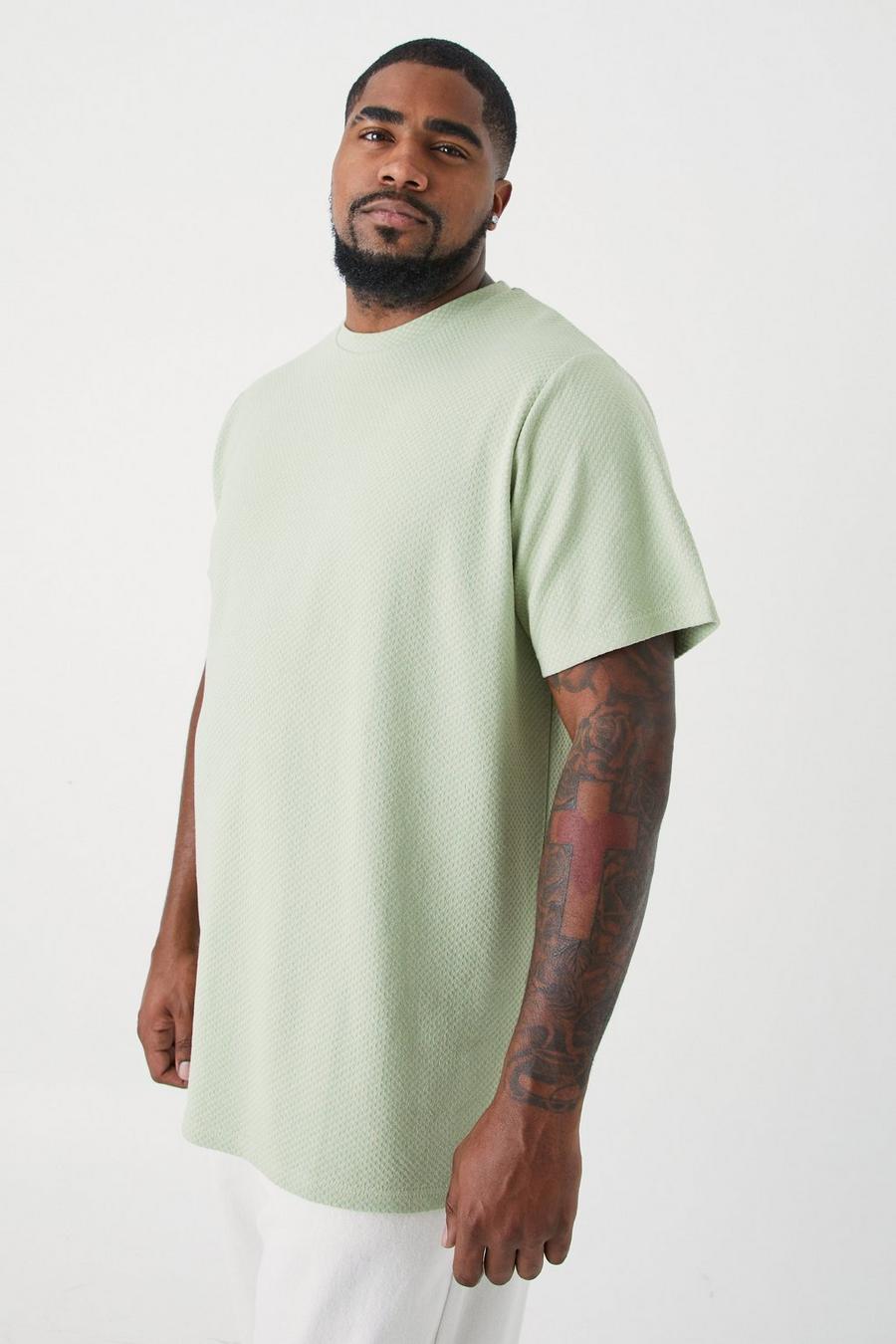 Sage green Plus  Textured Jacquard T-shirt