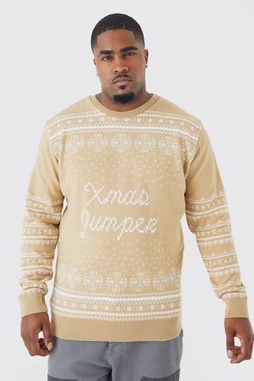 Plus Regular Fit Xmas Jumper stone