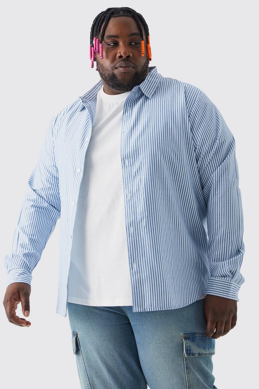 Blue Plus Long Sleeve Pinstripe Oxford Shirt