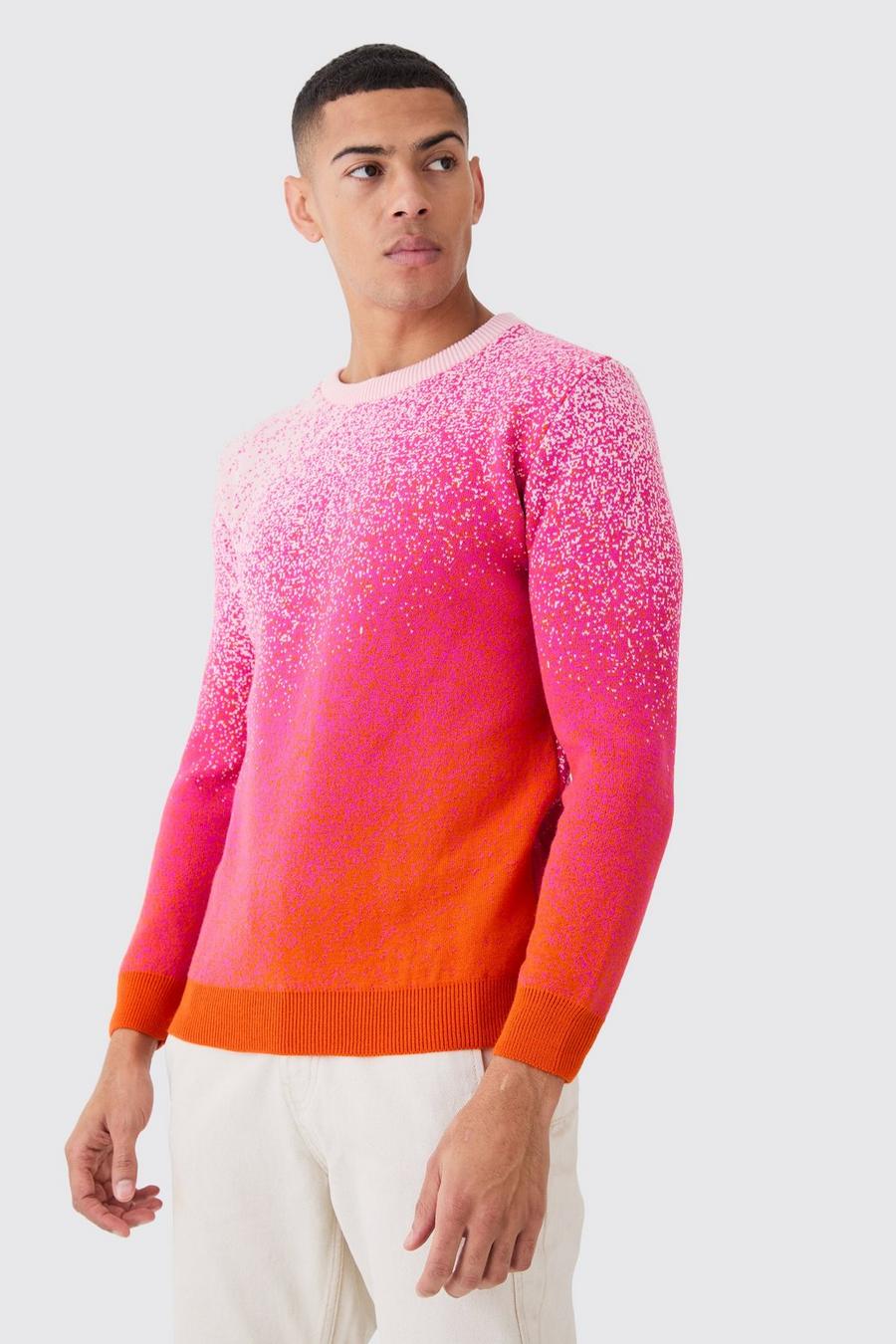 Pink Regular Fit Ombre Knitted Crew Neck
