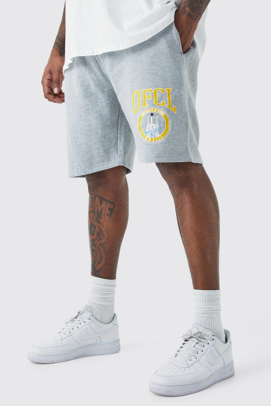 Grey Plus Ofcl Grå shorts med ledig passform image number 1