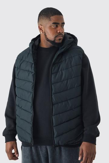 Black Plus Quilted Zip Through Hooded Vest In Black