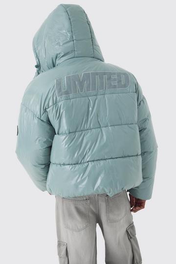 Blue Oversized Limited Embroidered Hooded Puffer In Light Blue