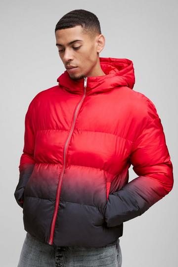 Red Boxy Ombre Hooded Puffer Coat In Red