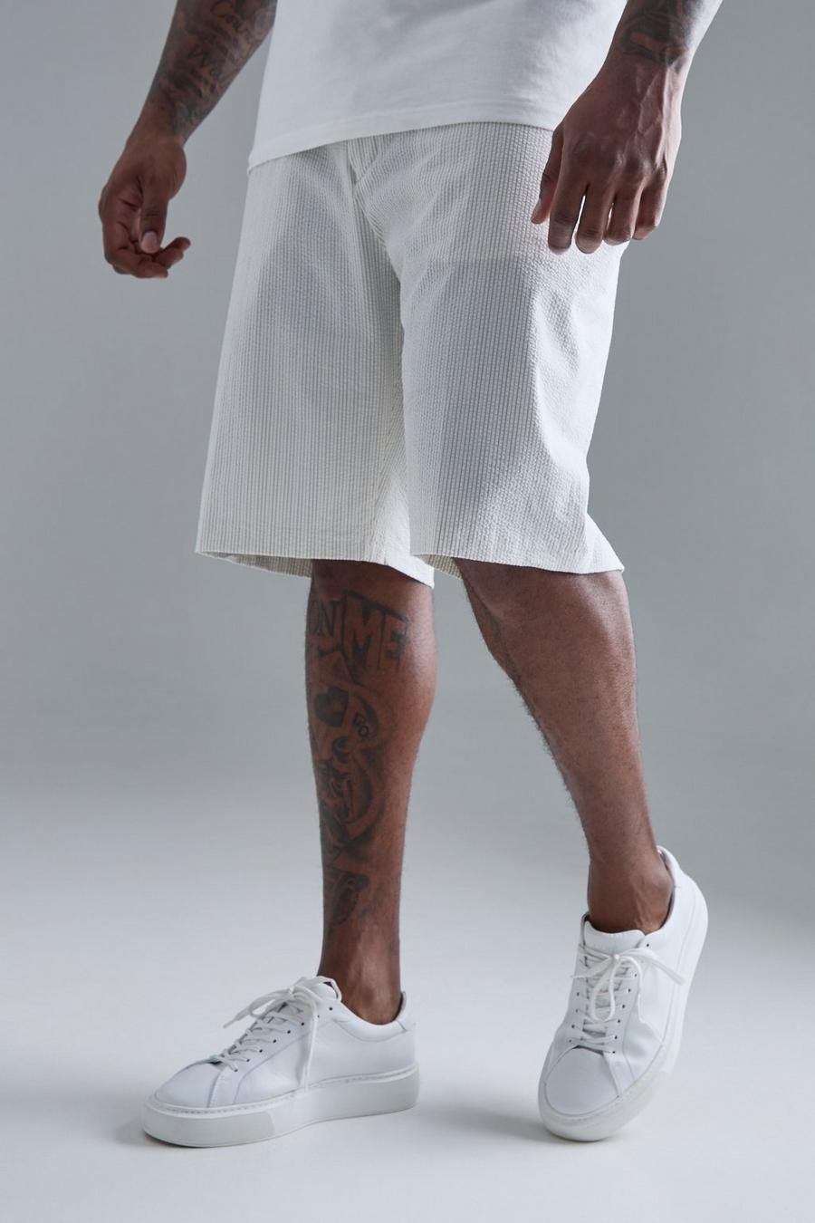 Ecru Plus Stripe Seersucker Drawcord Regular Fit Shorts 