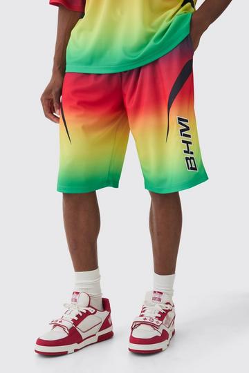 Lange Ombre Mesh Basketbal Shorts multi