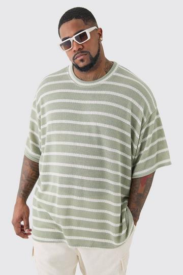 Sage Green Plus Stripe Knit Relaxed T-shirt