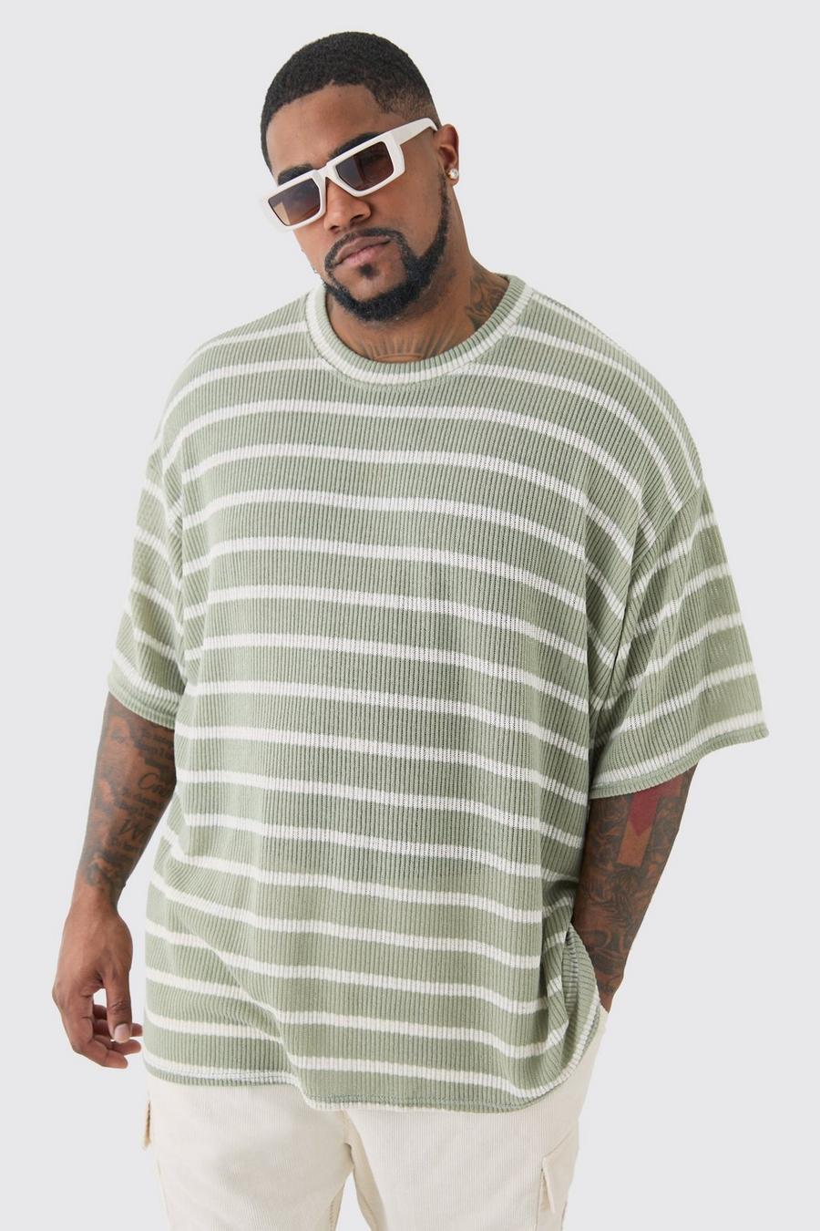 Sage Plus Stripe Knit Relaxed Tee image number 1