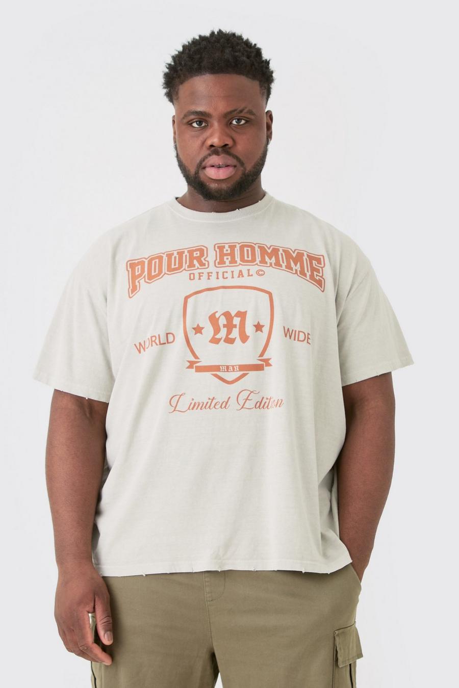 T-shirt Plus Size oversize slavata stile college con smagliature, Sand image number 1