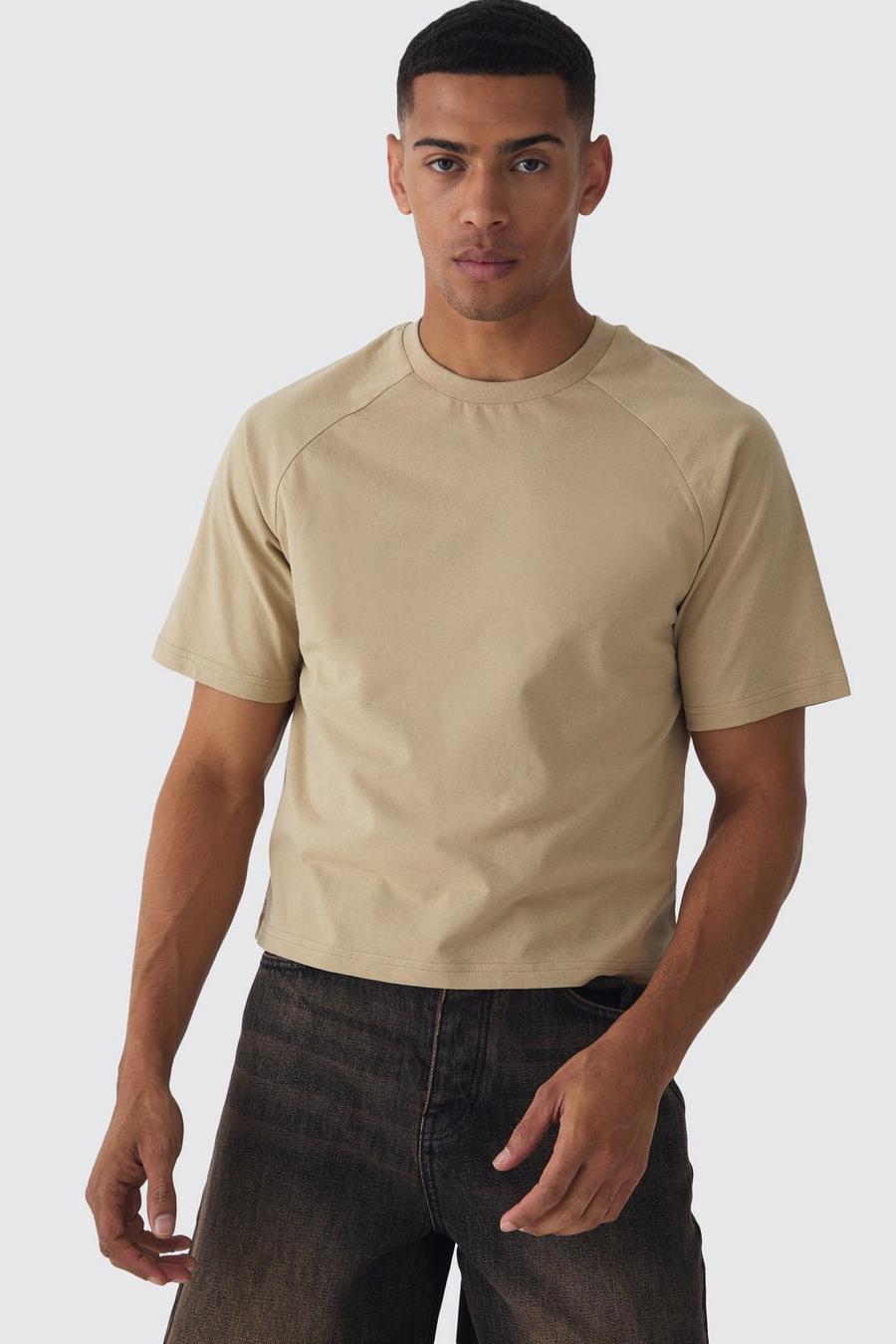 Taupe Raglan Sleeve Baby T-shirt