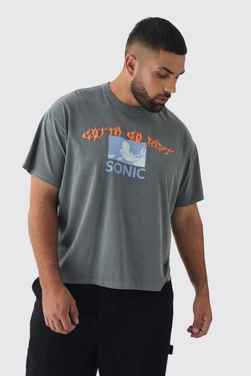 Plus Sonic Licence Washed T-shirt in Grey white