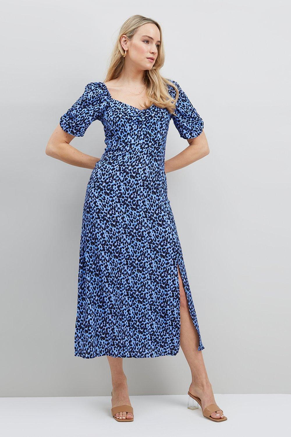 Wallis Blue Animal Square Neck Midi Dress | Debenhams