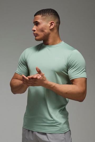 Sage Green Man Active Regular Fit Performance T-shirt