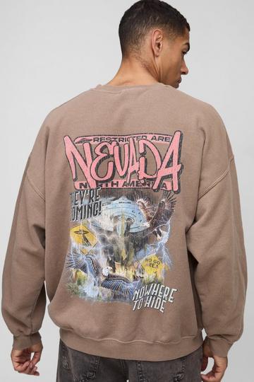 Oversized Nevada Bird Graphic Washed Sweatshirt stone