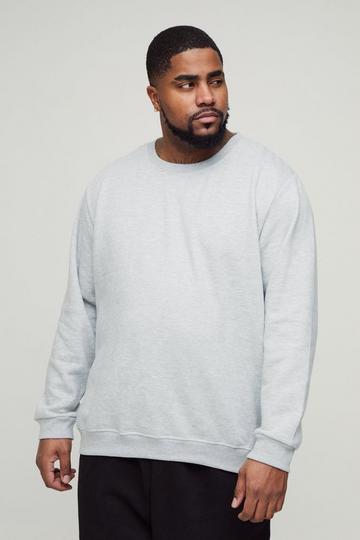 Plus Basic Sweatshirt grey