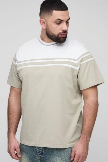 Plus Colour Block Regular T-Shirt stone