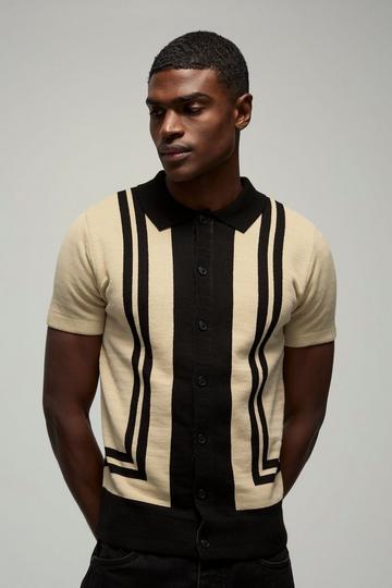 Regular Fit Border Stripes Colour Block Knitted Polo stone