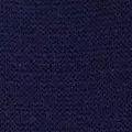 navy color