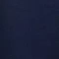 navy color