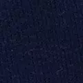 navy color