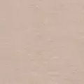 camel color