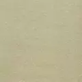 khaki color