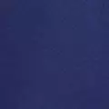 navy color