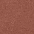 chocolate color