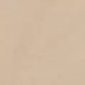 taupe color