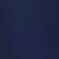 navy color