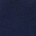 navy color