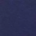 navy color