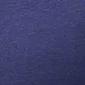 navy color