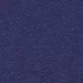 navy color