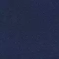 navy color